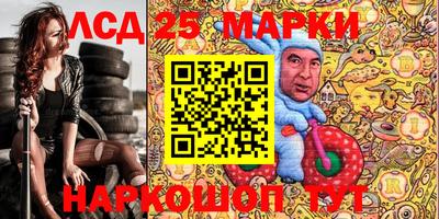 индика Ставрополь