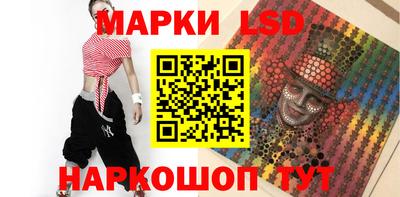 индика Ставрополь