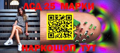 индика Ставрополь