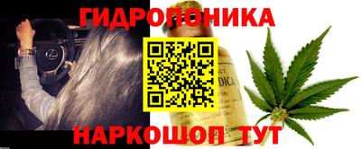 индика Ставрополь