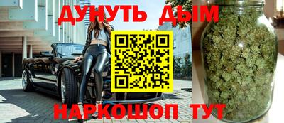 индика Ставрополь