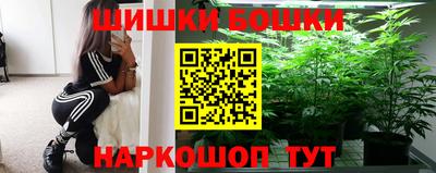индика Ставрополь