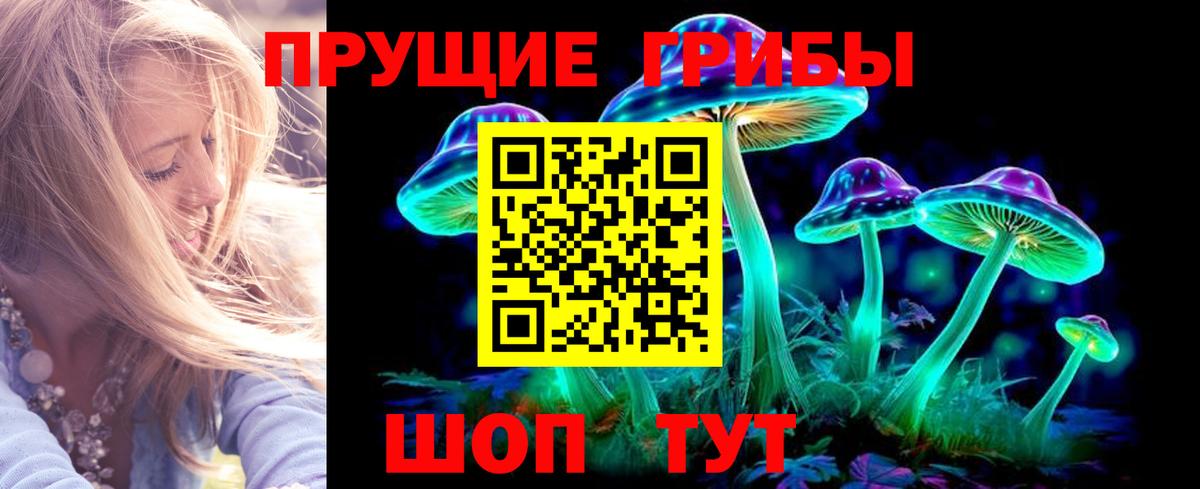 Галлюциногенные грибы Psilocybe Нурлат