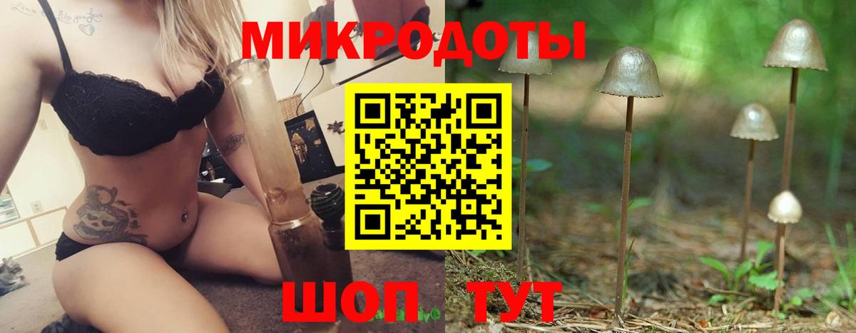 Псилоцибиновые грибы Psilocybe  Вход с VPN  Нурлат 